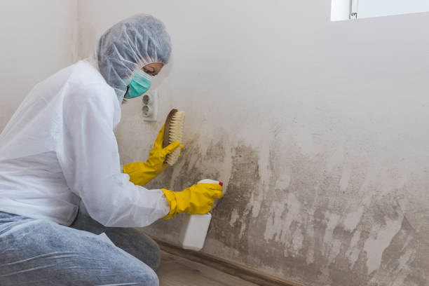 Best Crawl Space Mold Removal  in Orida Ridge, FL